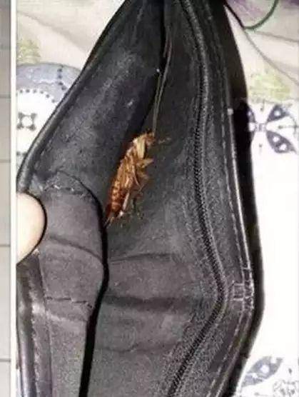 potret dompet di akhir bulan (twitter.com/fbreceh)