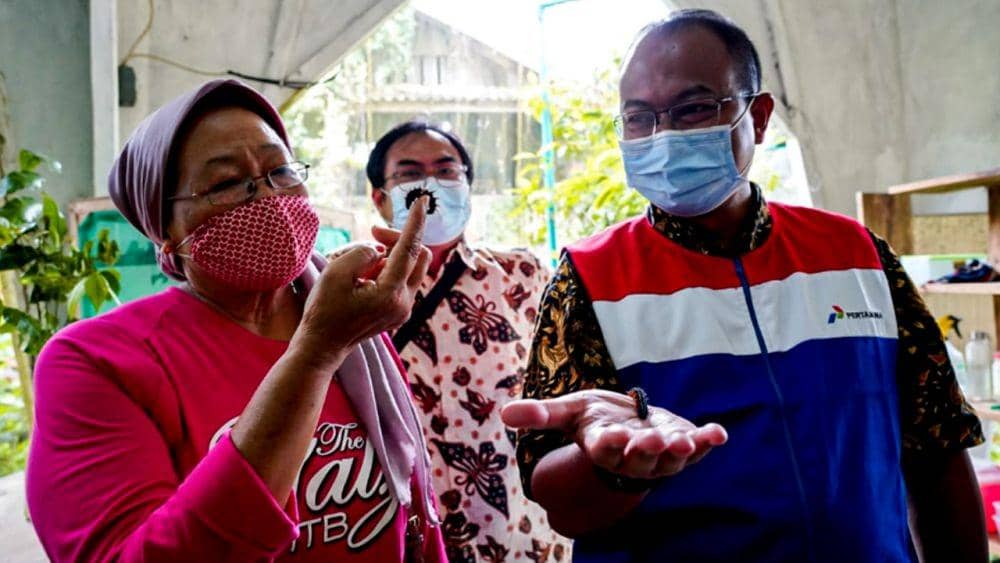 Program CSR & SMEPP PT Pertamina melakukan upaya monitoring dan evaluasi, terhadap program konservasi kupu-kupu di TKGP. (Dok. Pertamina).