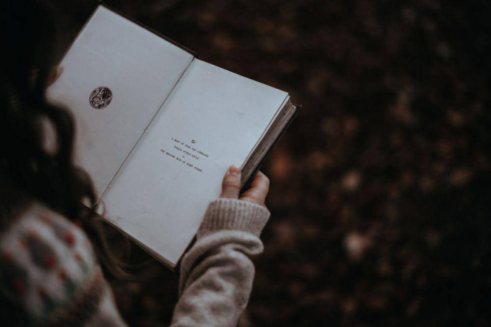 Unsplash/Annie Spratt
