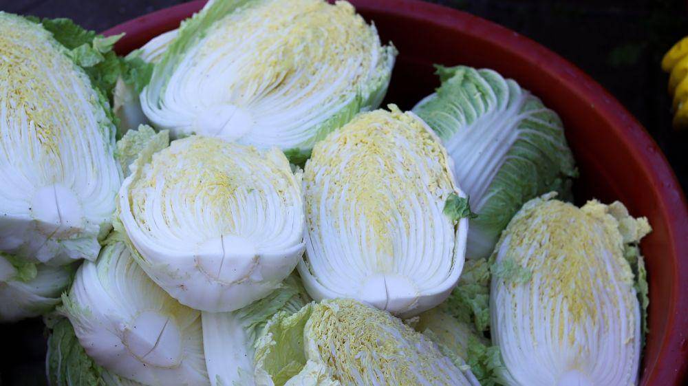 pixabay.com/allybally4b (ilustrasi kubis yang sering dijadikan kimchi terkena inflasi)