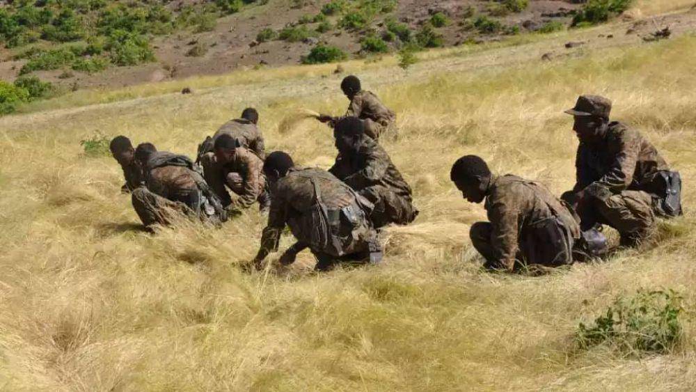 Tentara Ethiopia yang sedang membantu petani di Tigray. (Twitter.com/Redwan Husien)