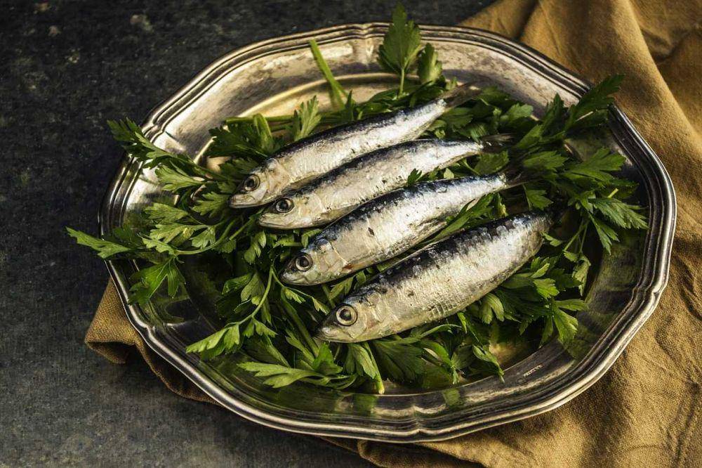 ilustrasi parsley dan ikan (pixabay.com/@danatentis)