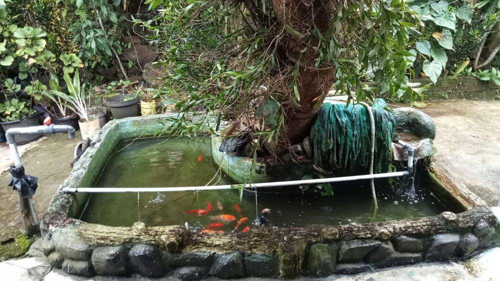 inspirasi kolam ikan (dok.pribadi/Nurkorida Aeni)