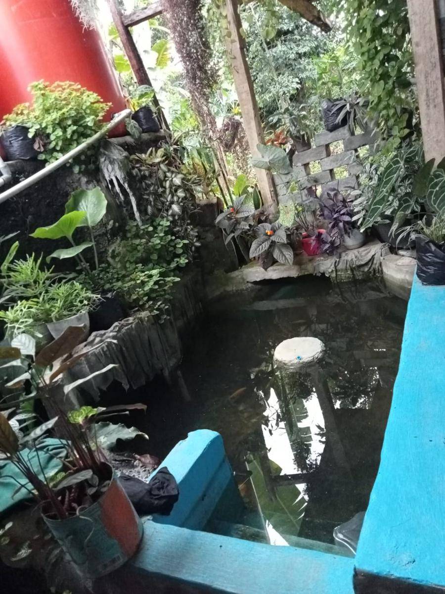 inspirasi kolam ikan (dok.pribadi/Nurkorida Aeni)