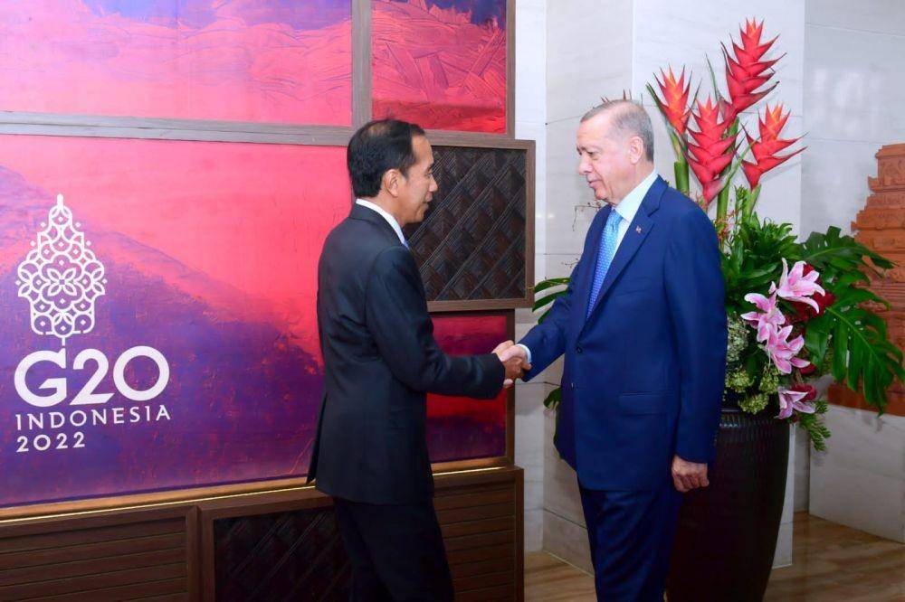 Presiden RI Joko Widodo dan Presiden Turki Recep Tayyip Erdogan. (Dok Setpres)