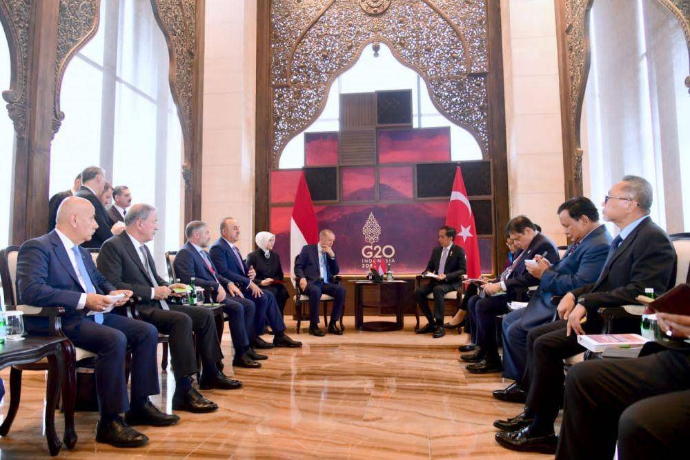 Pertemuan Presiden RI Joko Widodo dengan Presiden Turki Reccep Tayyip Erdogan. (Dok. Setpres RI)