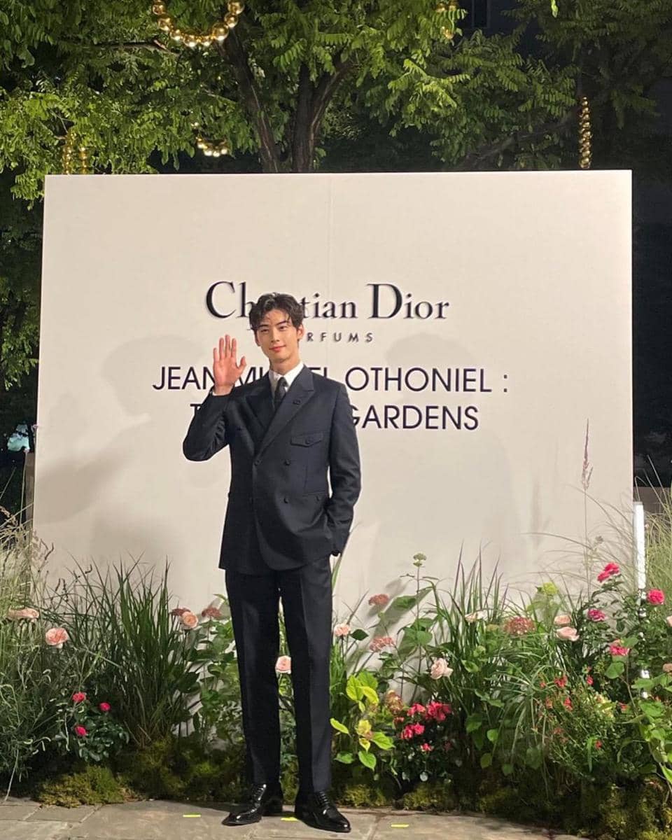 Cha Eun Woo (instagram.com/eunwo.o_c)