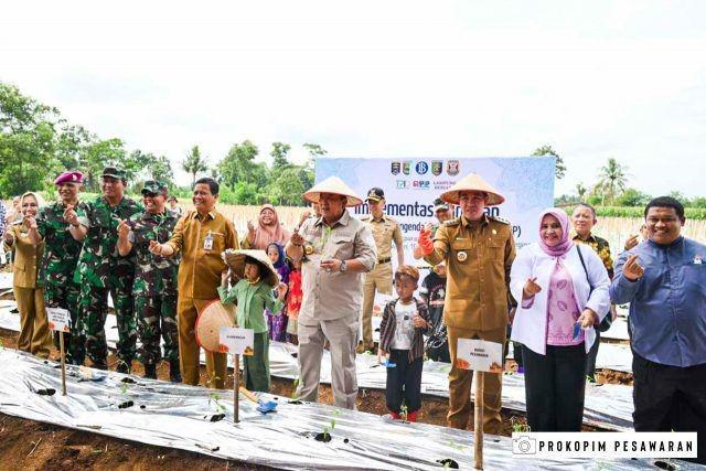 Gerakan Tanam Cabai di Pesawaran Jadi Cara Kendalikan Inflasi