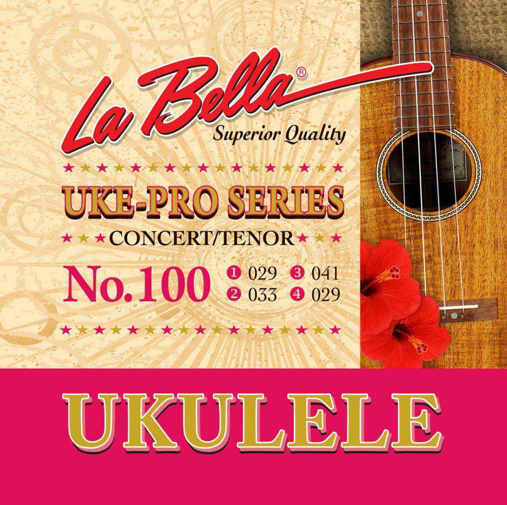 ilustrasi senar ukulele (ebay.com)