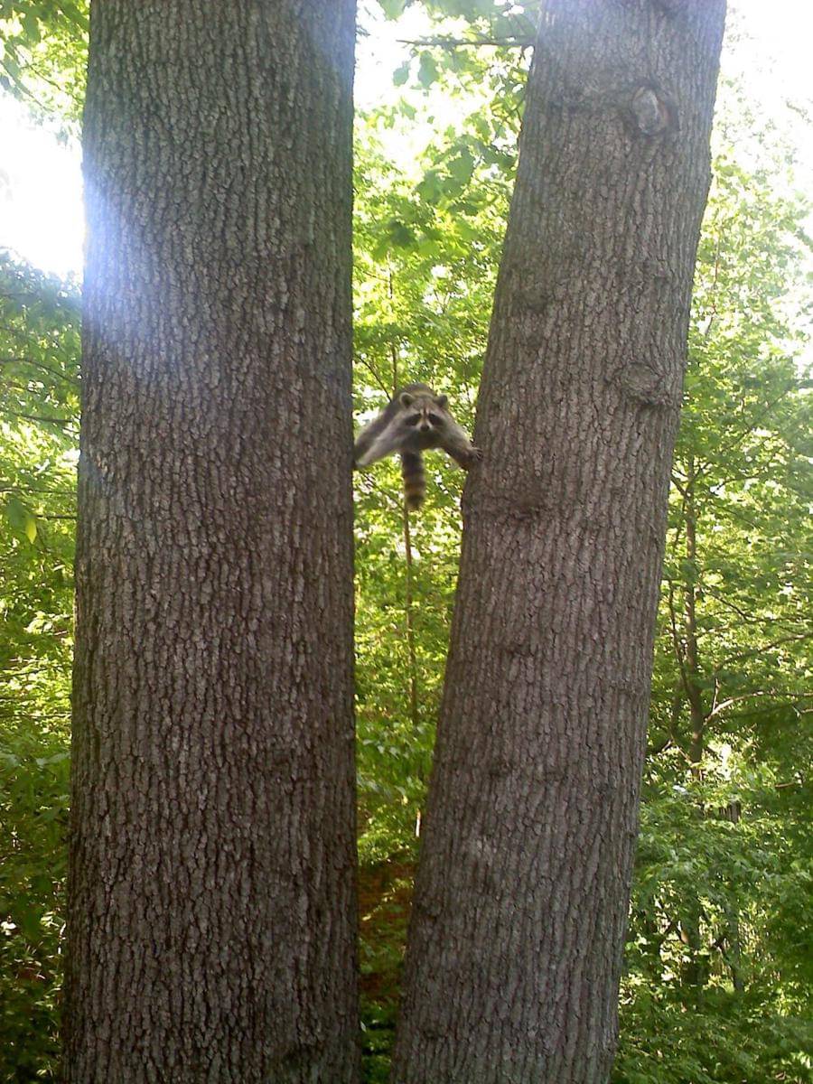 potret hal unik saat pulang aktivitas (imgur.com/user/sampuravida)