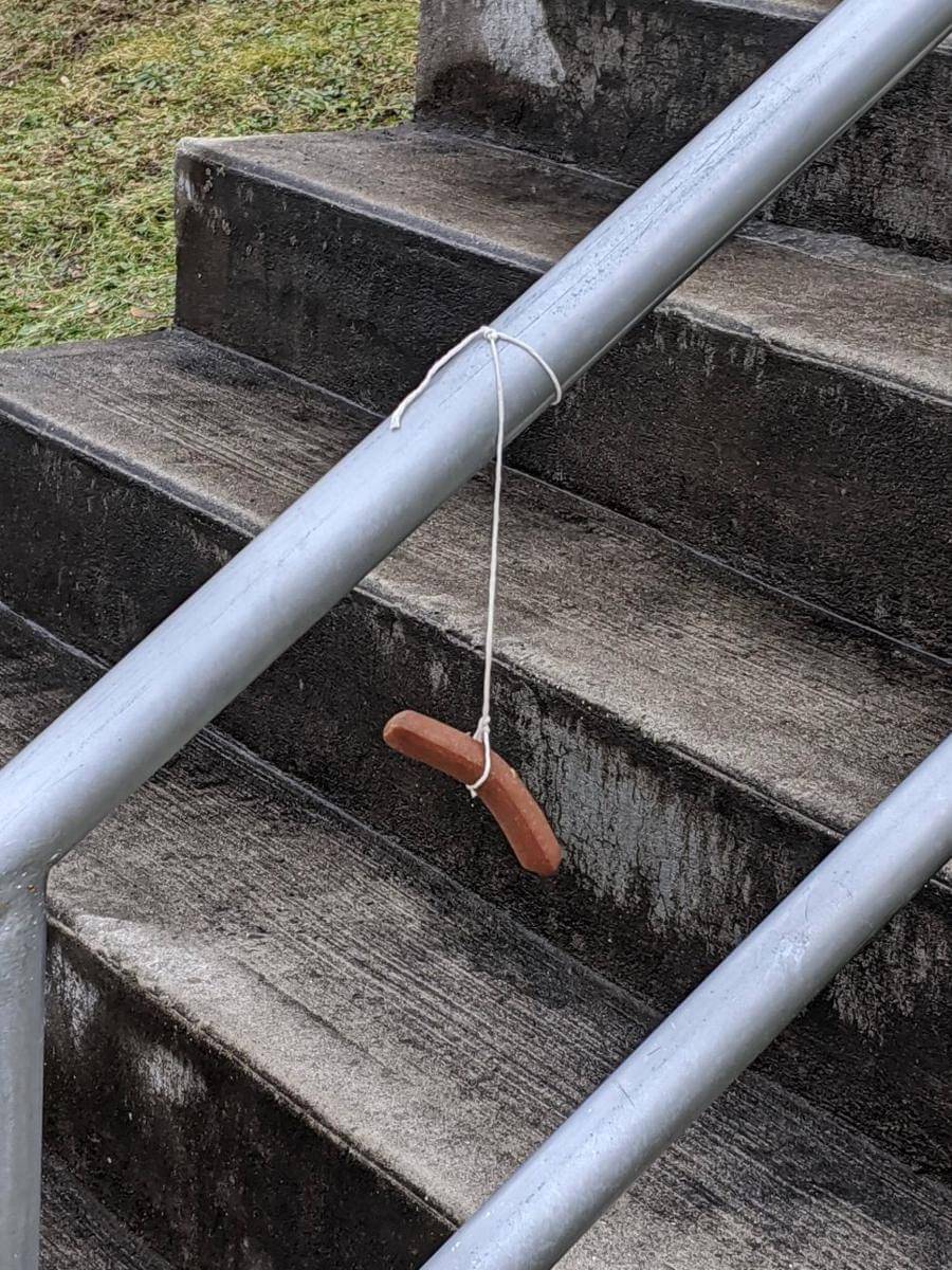 potret hal unik saat pulang aktivitas (reddit.com/user/ThatBandYouLike)