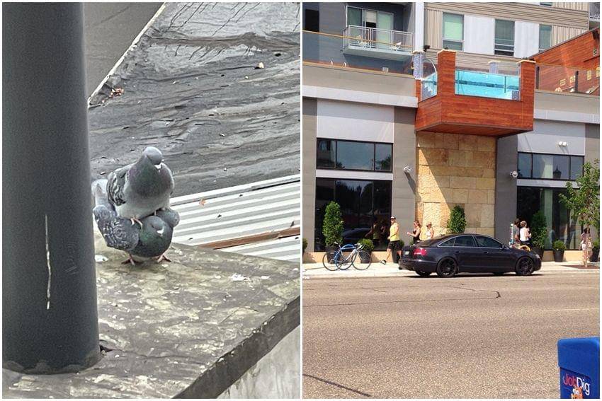 kolase potret hal unik saat pulang aktivitas (reddit.com/user/Gnomophile | reddit.com/user/alteffor105)