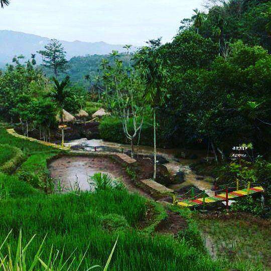 Suasana desa di wisata Rengganis/Instagram.com @dewirengganis.bondowoso