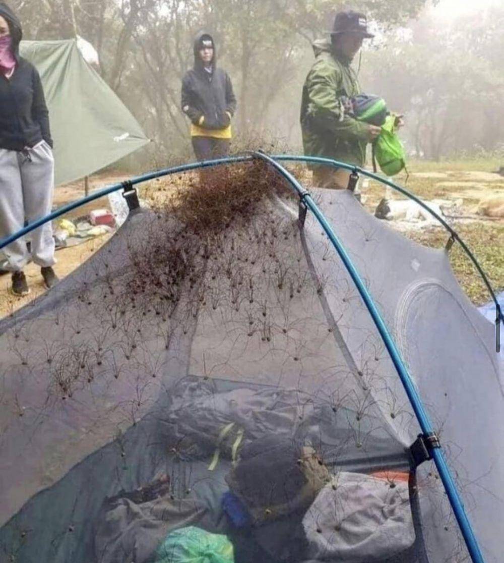 potret mimpi buruk menjadi kenyataan (reddit.com/s9eb)