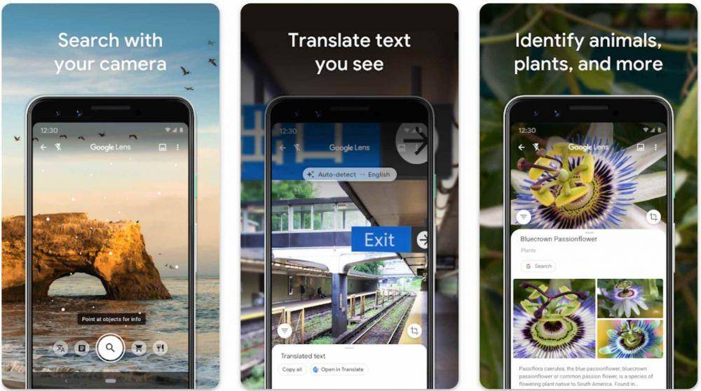 Google Lens (dok. Google LLC)