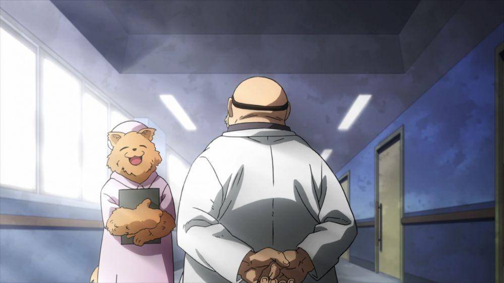 dok. Bones/ My Hero Academia