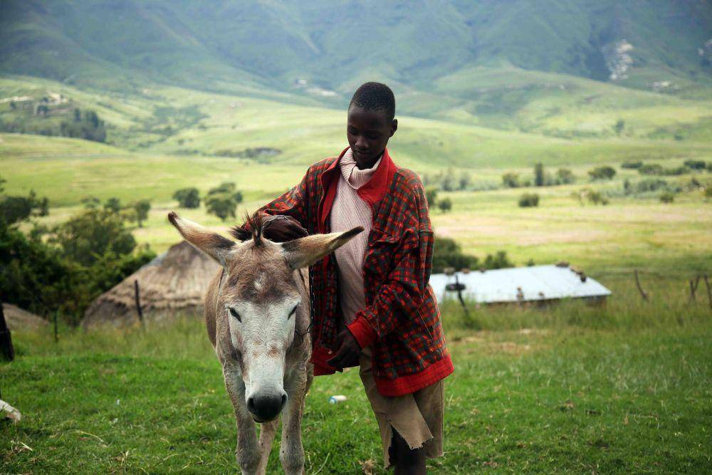 Lesotho (unsplash.com/Angelo Moleele)