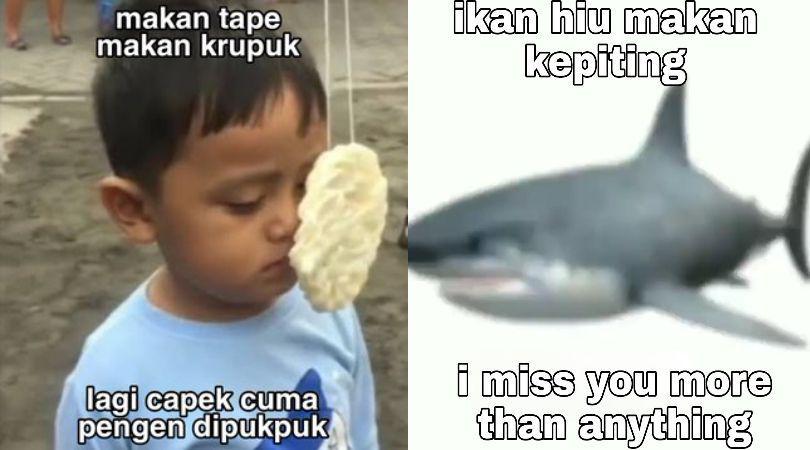 10 Meme Pantun Galau ala Warganet Twitter, Dijamin Nyesek!