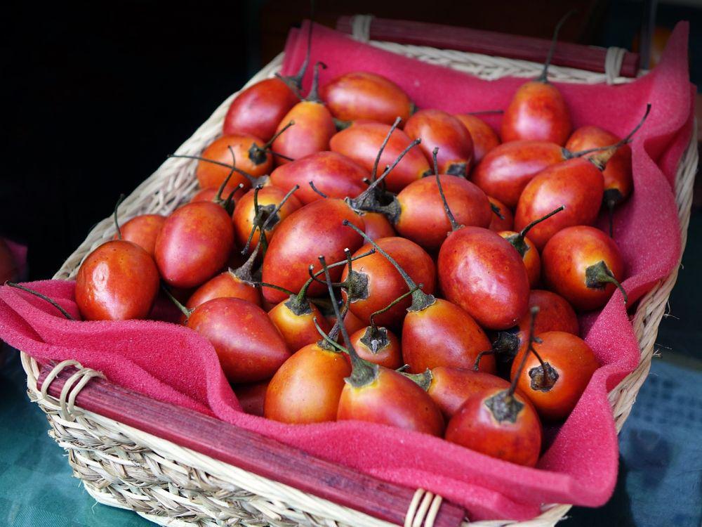 9 Fakta Terung Belanda, Buah Rendah Kalori yang Baik untuk Jantung