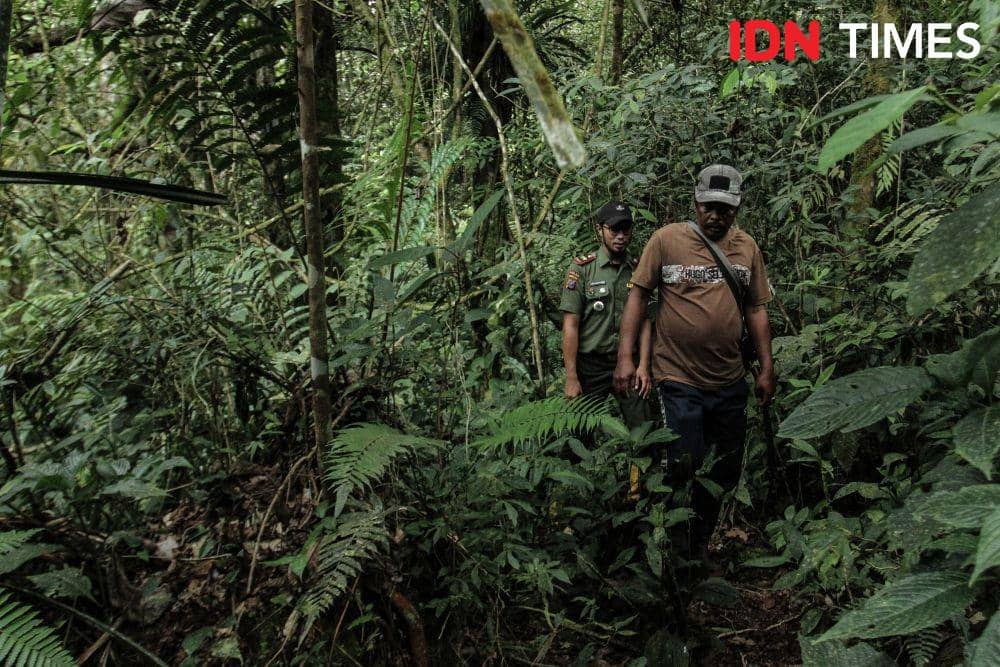 Polisi hutan Taman Nasional Batang Gadis Madina rutin melakukan patroli menjaga kawasan dari tindakan ilegal. (IDN Times/Prayugo Utomo)