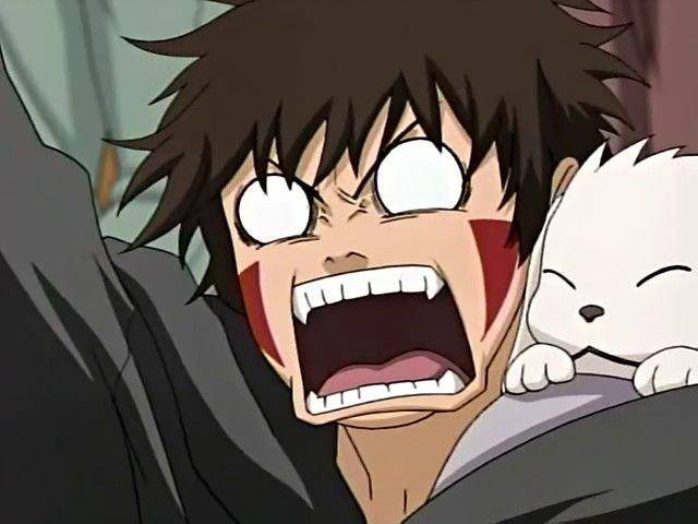 Kiba Inuzuka. (dok. Pierrot/Naruto)