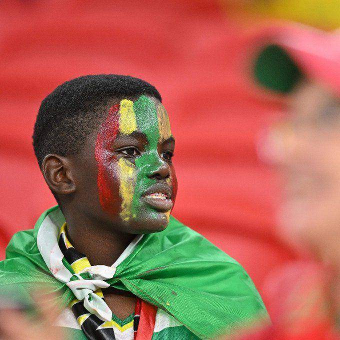 potret suporter Timnas Senegal (twitter.com/FIFAWorldCup)