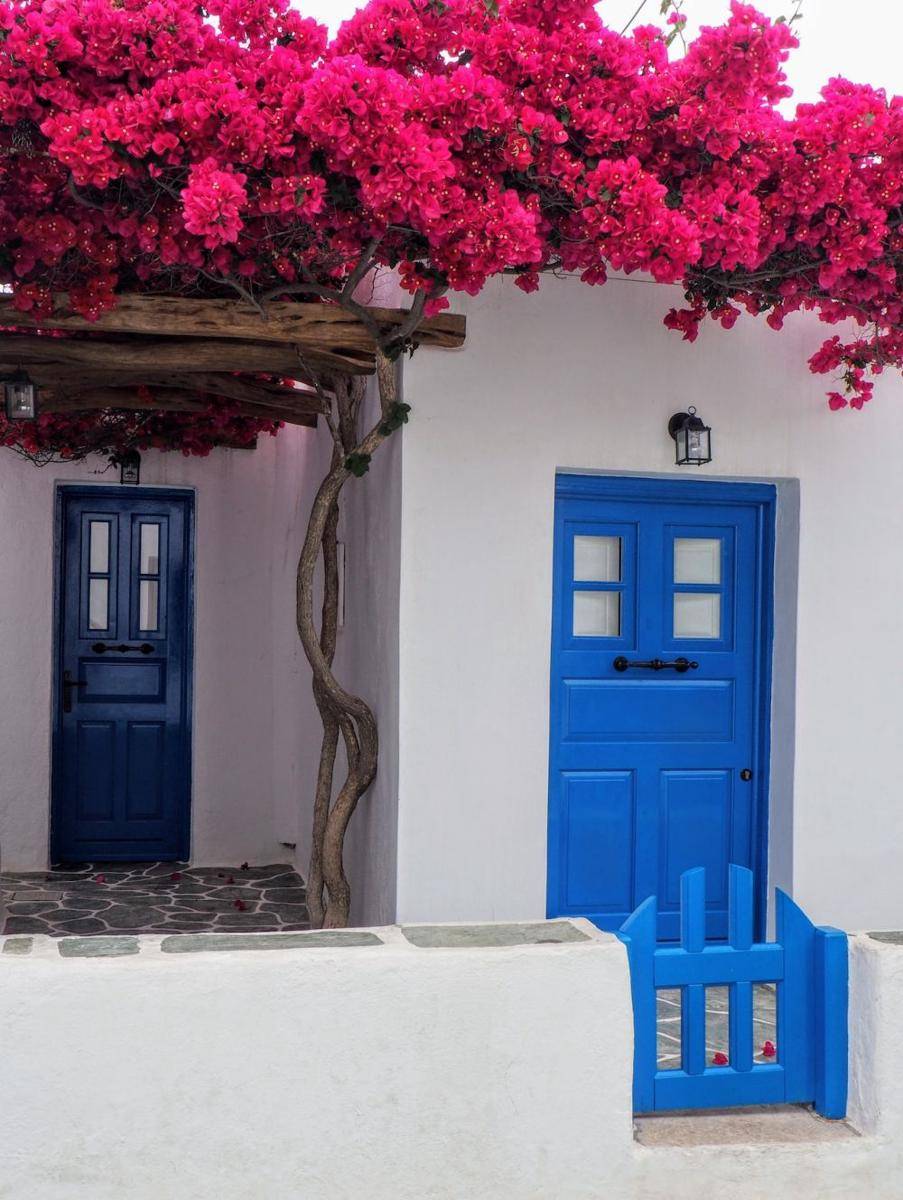 Model pintu masuk berwarna terang (pexels.com/Pixabay)