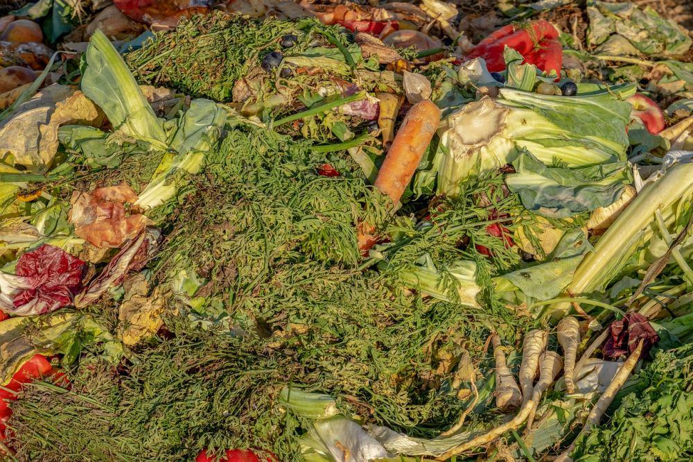6 Cara Mengurangi Dampak Buruk Sampah Makanan
