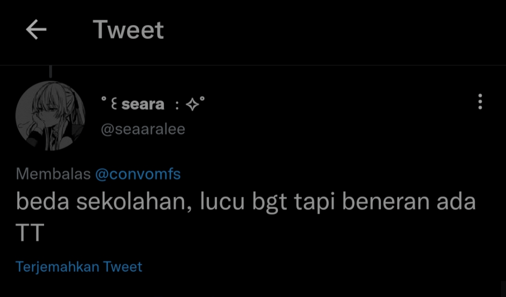 alasan putus warganet (twitter.com/seaaralee)