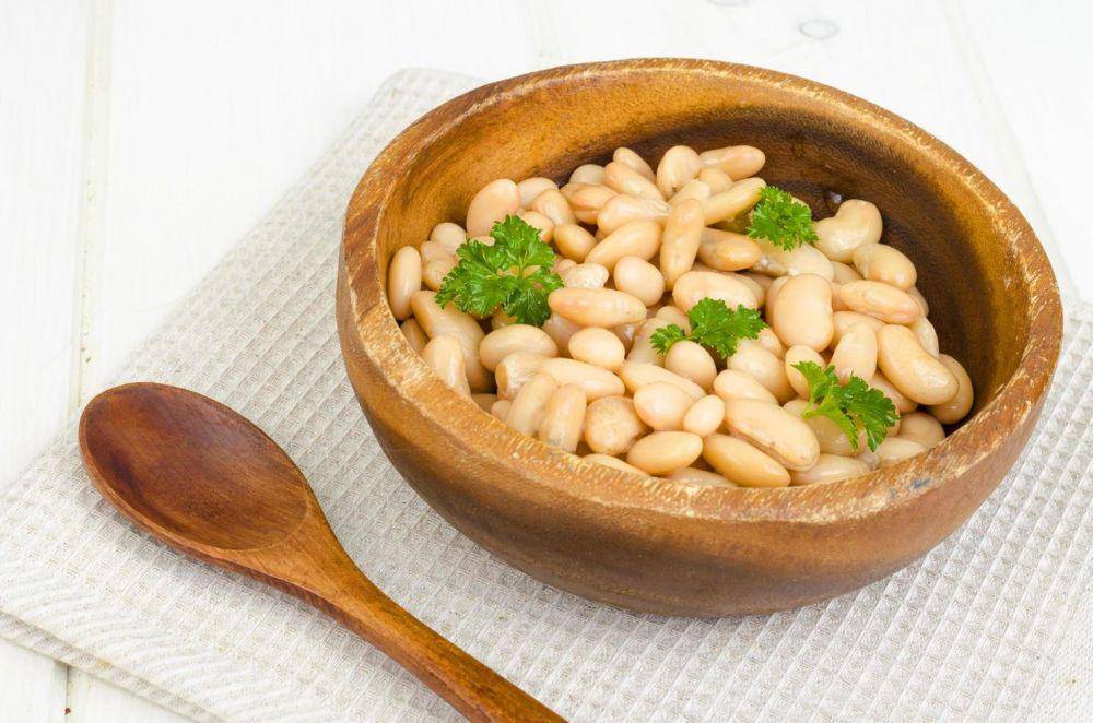 ilustrasi pine nut (vecteezy.com/artcookstudio)