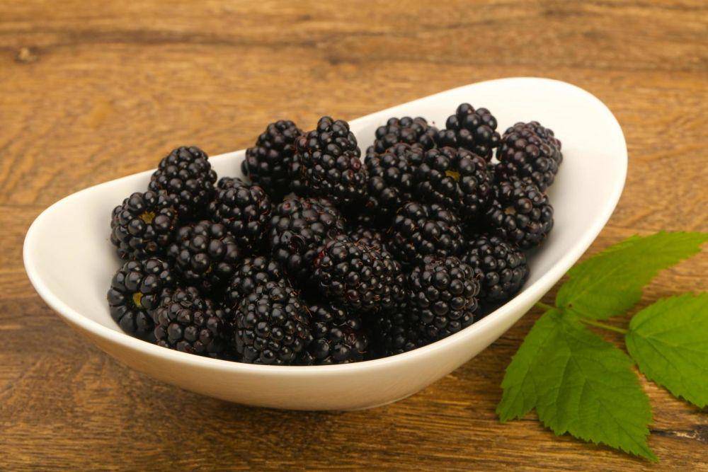 ilustrasi buah berry (vecteezy.com/Andrey Starostin)