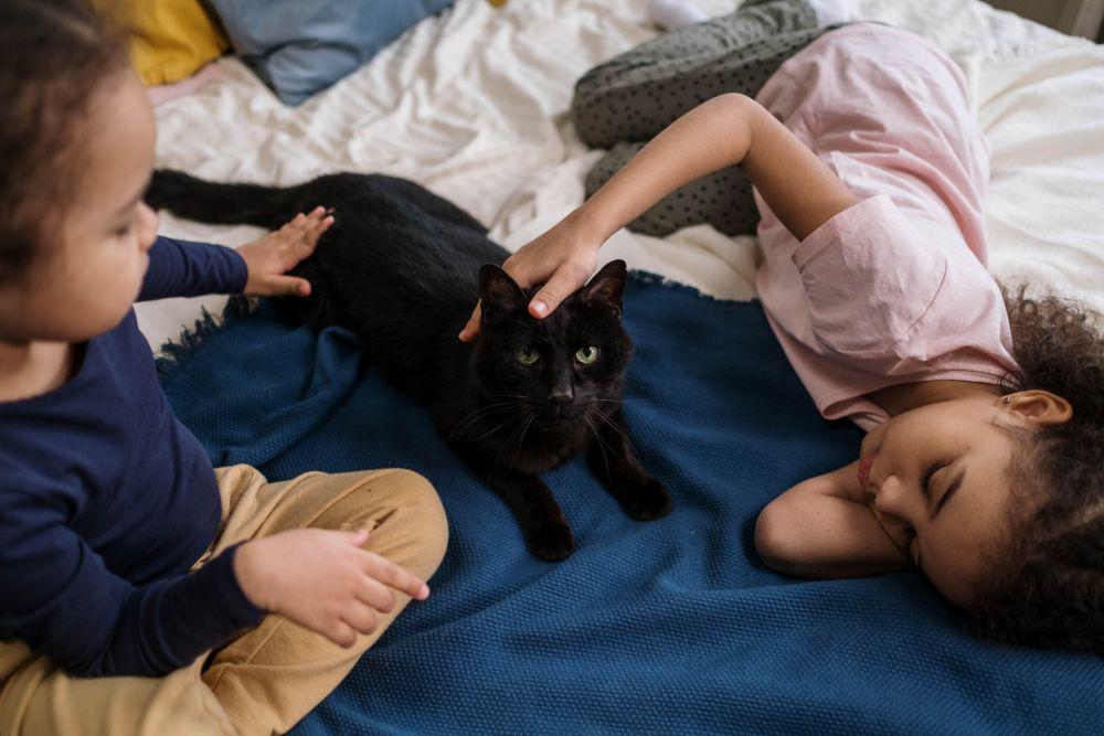ilustrasi kucing dan anak-anak (pexels.com/@cottonbro/)