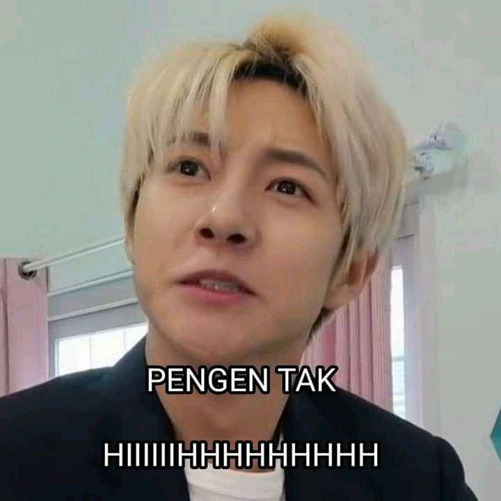 meme Renjun NCT emosi (twitter.com/Dolphin60205886)