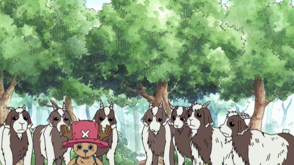 dok. Toei Animation/Goat Island