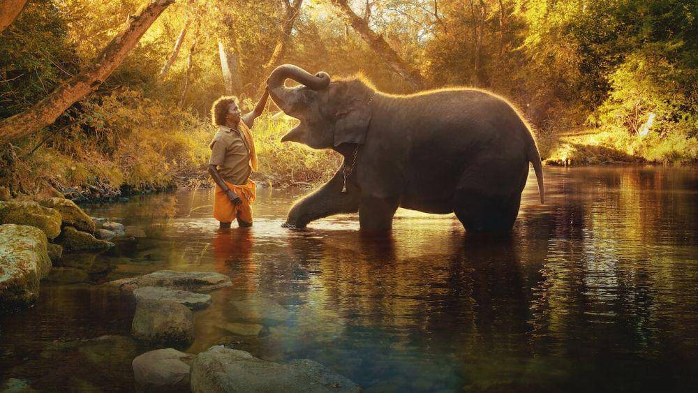 The Elephant Whisperers (dok. Netflix/The Elephant Whisperers)