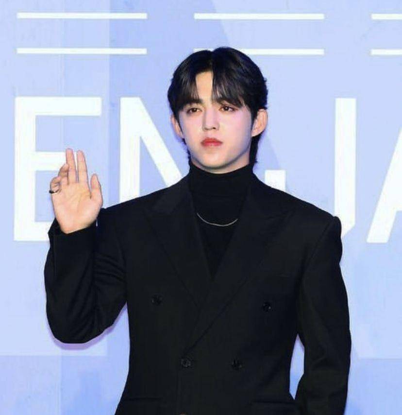 s.coups seventeen (instagram.com/scoupsdaddy)