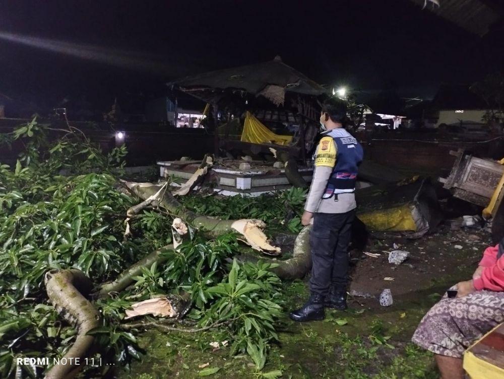 Pelinggih Pura Babakan Tabanan Rusak, Ditimpa Pohon Kayu Putih
