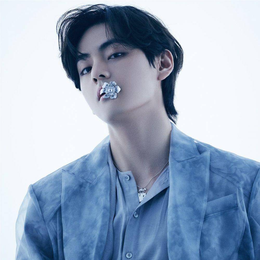 V BTS (instagram.com/bts.bighitofficial)