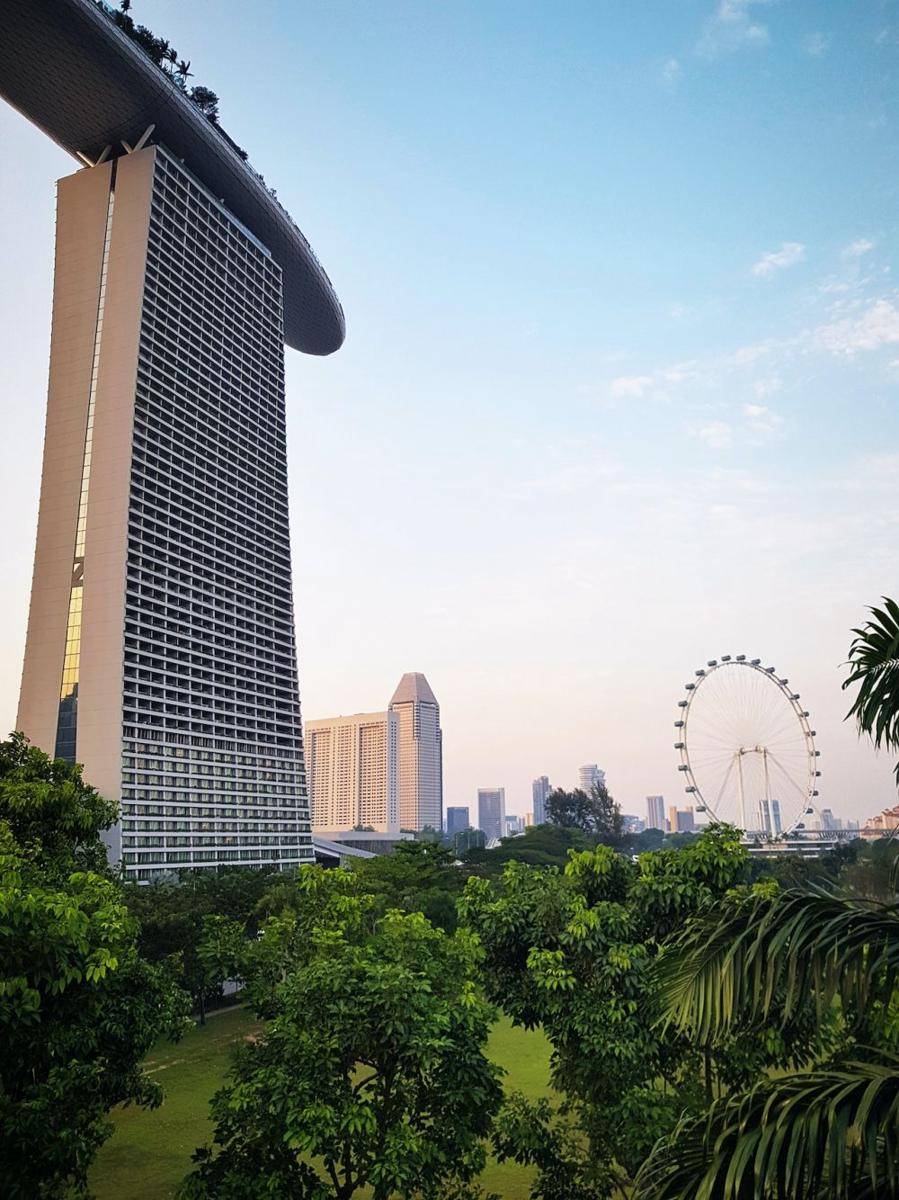 Ilustrasi negara Singapura (pexels.com/Andrea Durey)