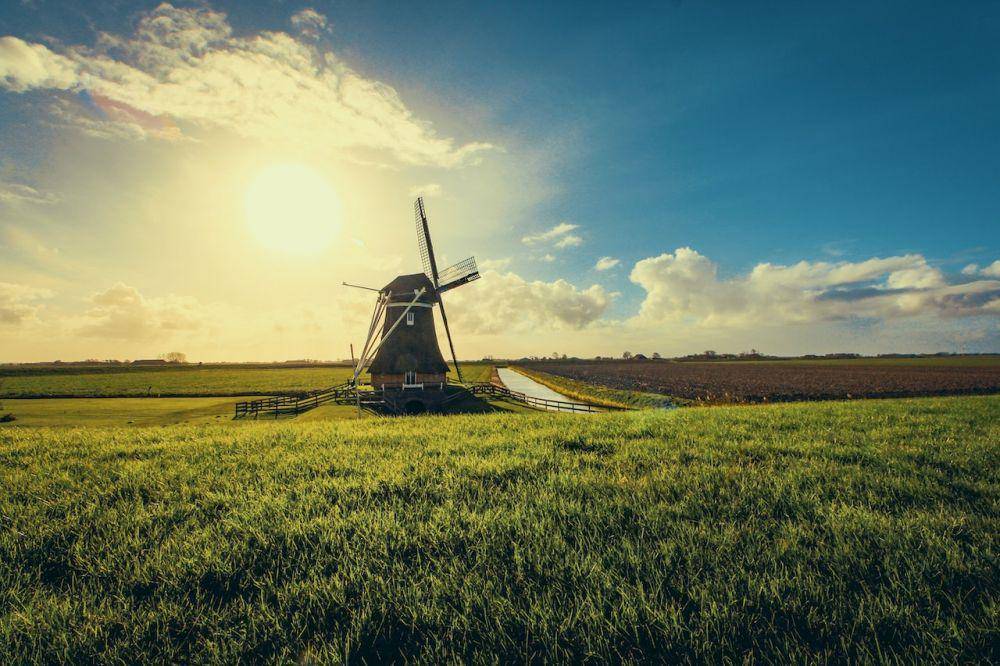 Ilustrasi negara Belanda (pexels.com/Tom Swinnen)