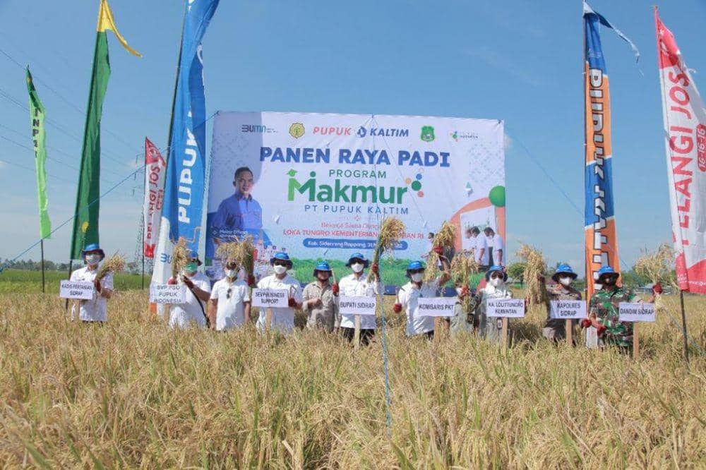 Panen raya area persawahan padi Program Makmur PT Pupuk Kaltim di Bontang. Foto istimewa