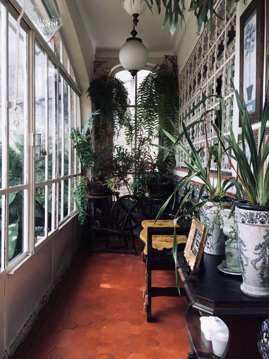 potret desain taman (pexels.com/Isabel Araújo)