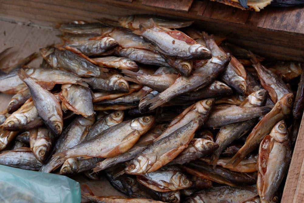 ilustrasi ikan asin (unsplash.com/Aldrin Rachman Pradana)