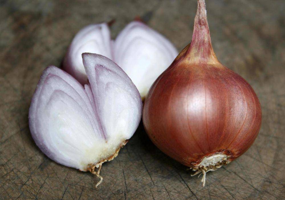 bawang merah (vecteezy.com/studio2013)