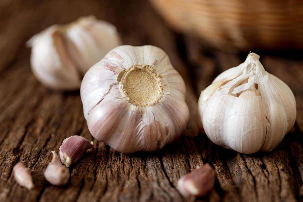 bawang putih (vecteezy.com/pinkomelet111962)