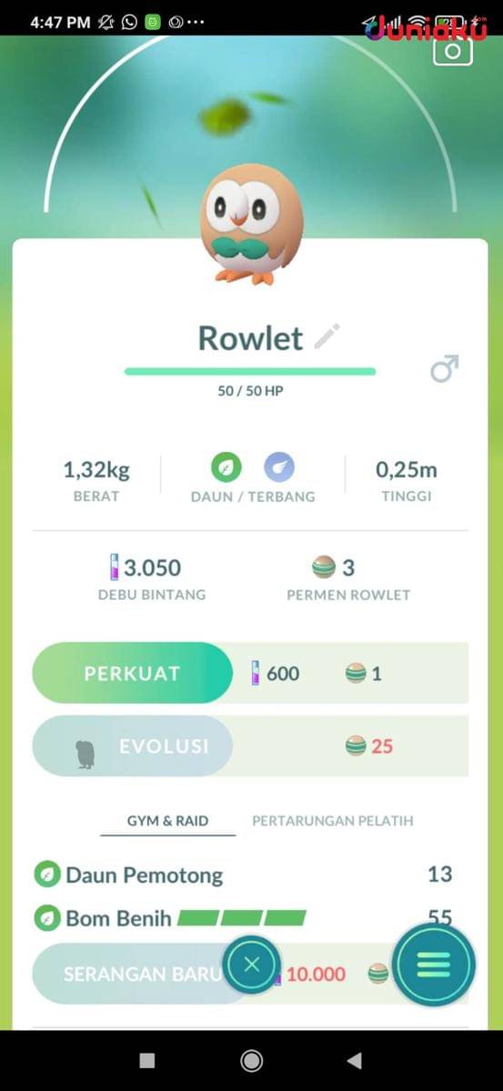 Screenshot Pokemon GO bahasa Indonesia. (Dok. Niantic Inc./Pokemon GO)
