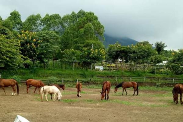 5 Rekomendasi Wisata Edukasi Satwa di Jawa Timur, Cocok buat Nataru!