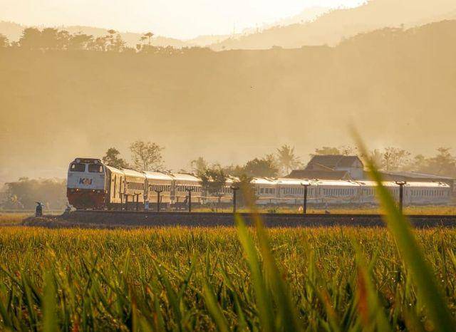 gambar jalur kereta api Malabar (instagram.com/slmanalfrisi_97)