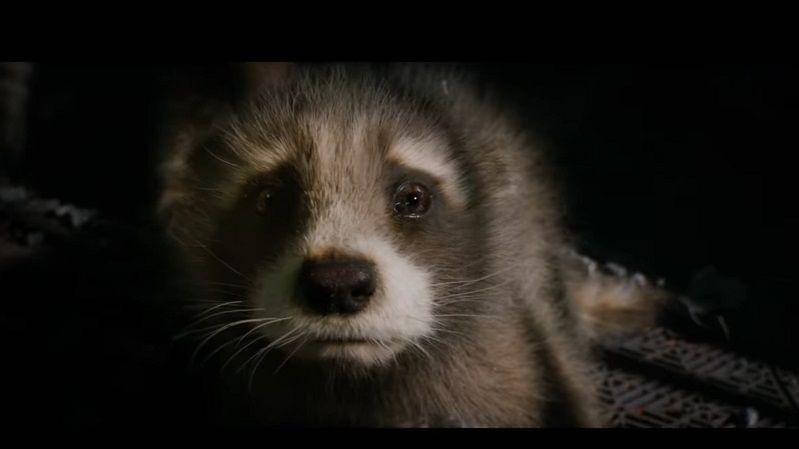 (Dok. Marvel Studios/The Guardians of the Galaxy Volume 3)