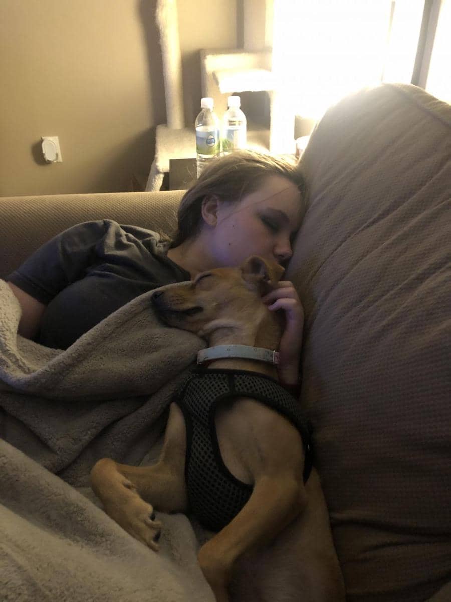 potret gemas hewan tidur berpelukan (reddit.com/user/its420honeybun)